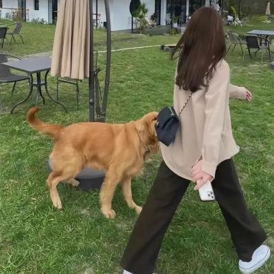 巴顿·芬克